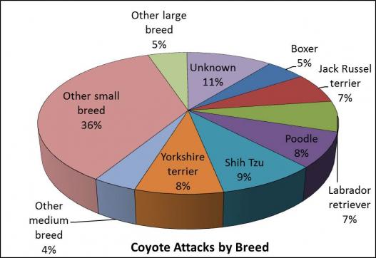 таблица пород нападения койота
