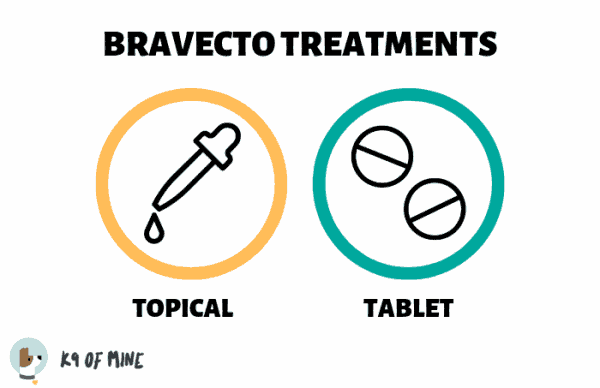 bravecto-treatments