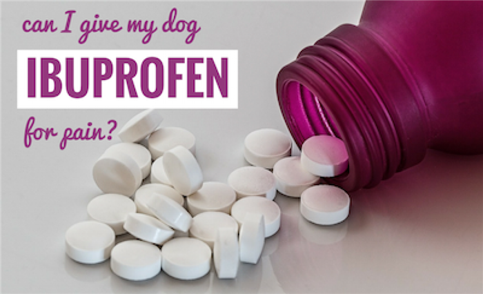 можно ли давать собаке ибупрофен от боли