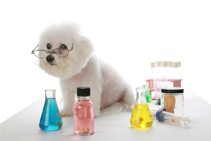 имена о химии для собак