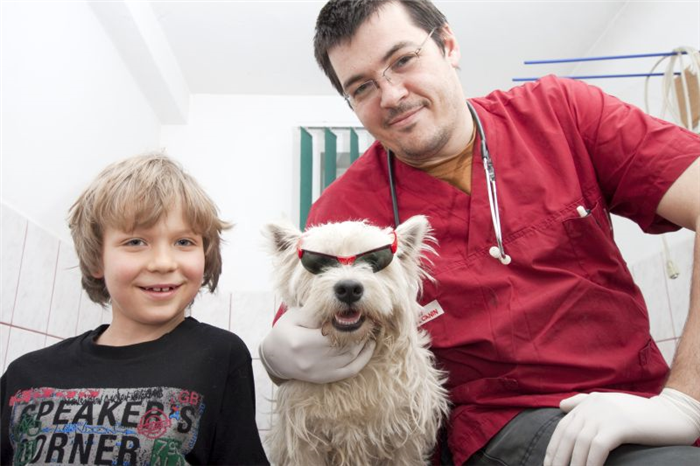 дружелюбные визиты к ветеринару помогают собакам