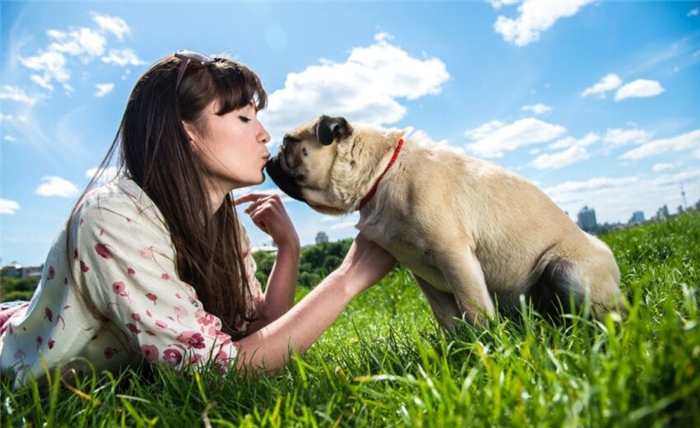 Чище ли рот вашей собаки, чем ваш