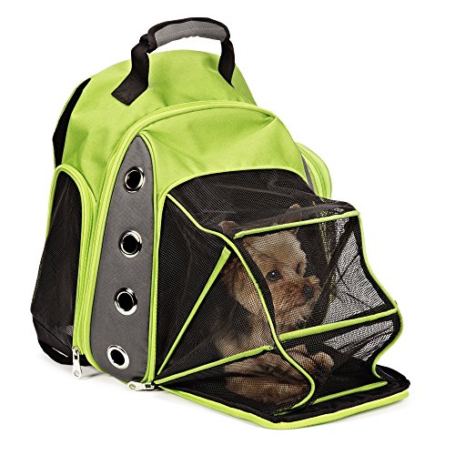 Casual Canine Ultimate Backpack Pet Carrier с дополнительным сетчатым тентом для переноски питомца без рук