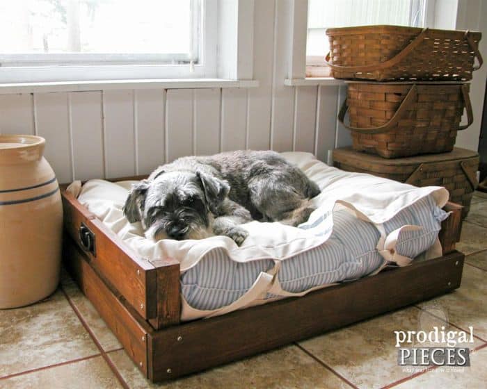 Деревянная кровать для собаки