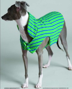 тканый свитер для собаки