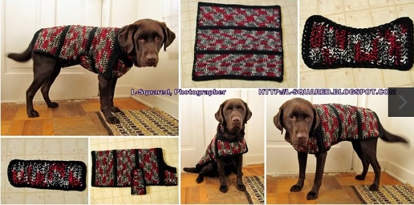 Сделай сам Вязаный крючком свитер для собаки