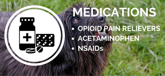 лекарства от артрита у собак