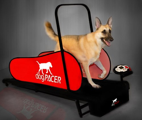 dogPACER 91641 LF 3.1 Полноразмерная беговая дорожка для собак, черно-красная