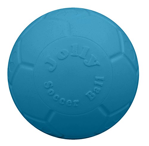 Jolly Pets Large Soccer Ball Floating-Bouncing Dog Toy, 8 inch Diameter, Ocean Blue
