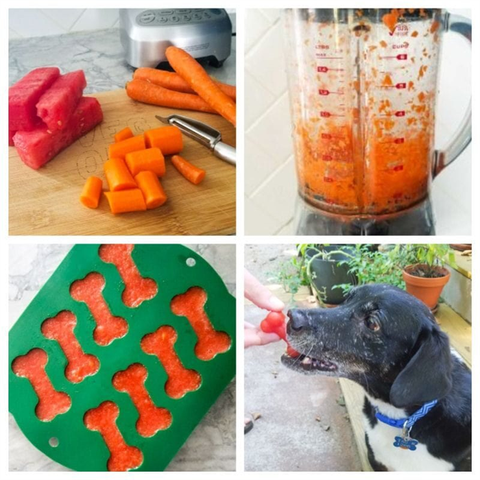 арбузное и морковное мороженое для собак