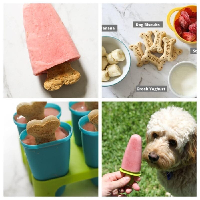 клубничное мороженое для собак