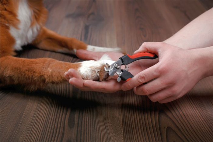 машинки для стрижки ногтей для собак