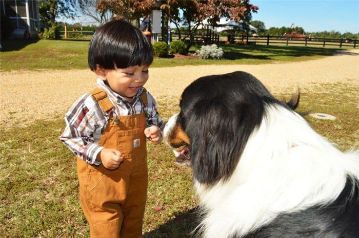 маленькие дети могут дрессировать собак