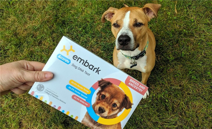embark-dog-dna-test-review