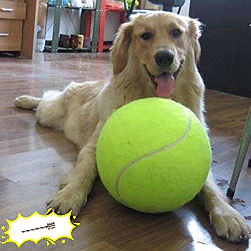 Banfeng Гигантский 9,5' Собака Теннисный Мяч Большой Pet Toys Забавный Открытый Спорт Собака Мяч Подарок с Надувными Иглами