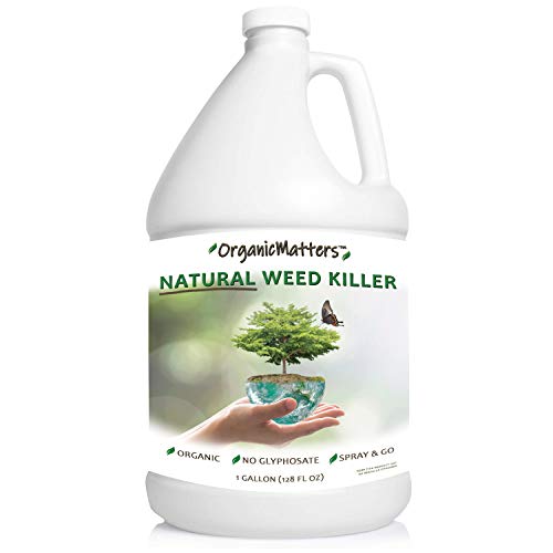 OrganicMatters Натуральный спрей для уничтожения сорняков, без глифосата, результаты менее чем через 24 часа (128 унций галлон)