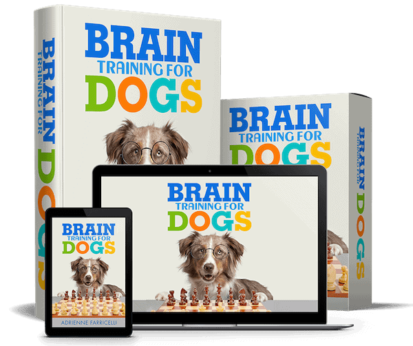 brain-train-for-dogs