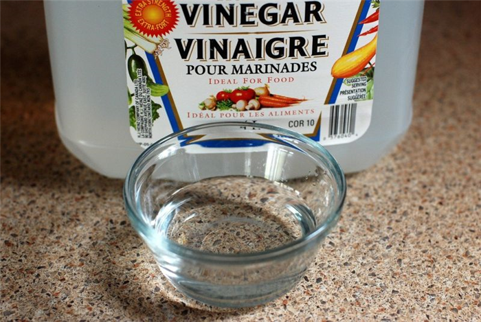 vinegar-prevents-dogs-from-peeing