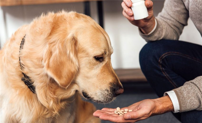 Лекарства для собак