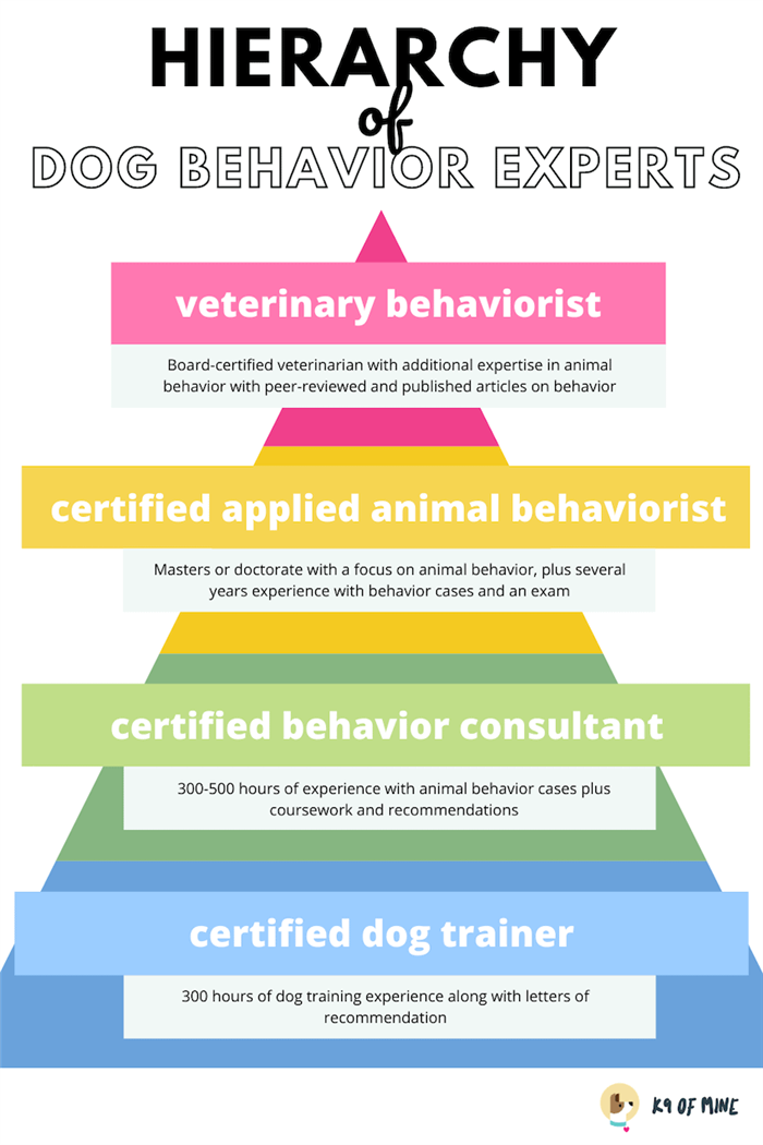 иерархия экспертов по поведению собак