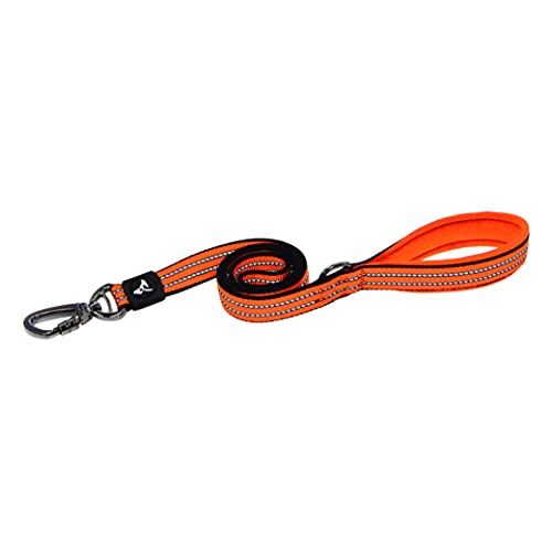 KRUZ PET KZV5048-08L 4' Long Reflective Heavy Duty Click Lock Hook Leash Strong, Secure Nylon Safety Lead with Locking Carabiner Clip - Pet Leash with Comfortable Padded Handle, Large, Orange