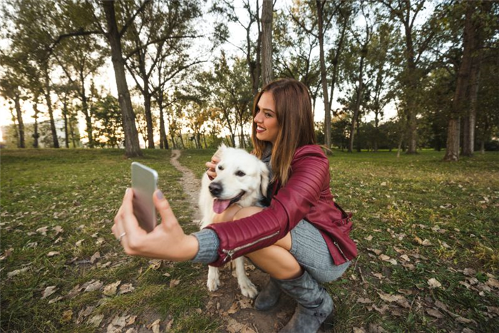 как сделать свою собаку звездой Instagram