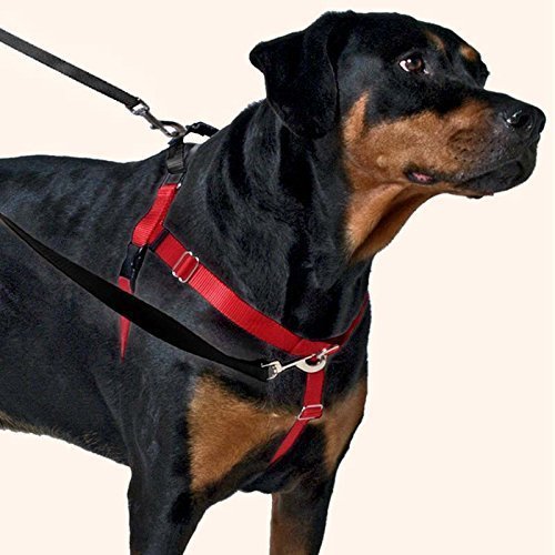 2 Hounds Design Freedom No-Pull Dog Harness Training Package with Leash, Medium (1' Wide), Black