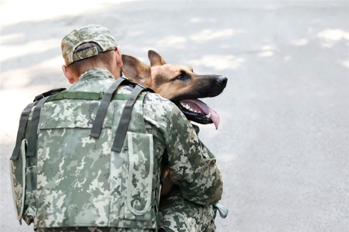 имена для военных собак
