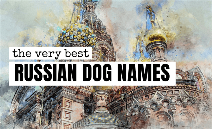 russian-dog-name-deas