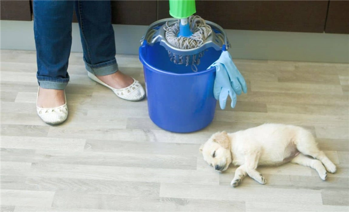 Безопасное для домашних животных средство для мытья пола
