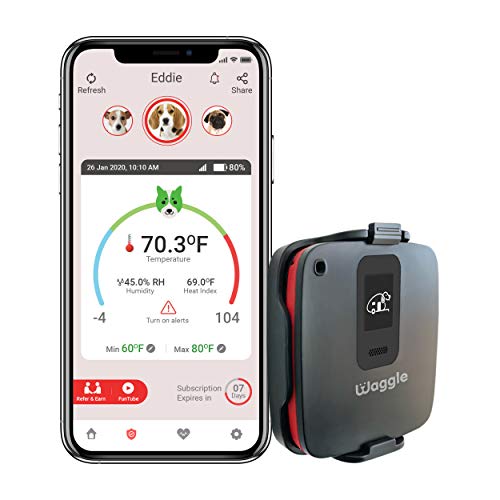 Waggle RV/Dog Safety Temperature & Humidity Sensor | 4G Verizon Cellular | Беспроводной удаленный монитор температуры для домашних животных | 24/7 оповещения по электронной почте/SMS | WiFi не нужен