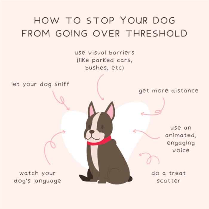 остановить собаку от превышения порога