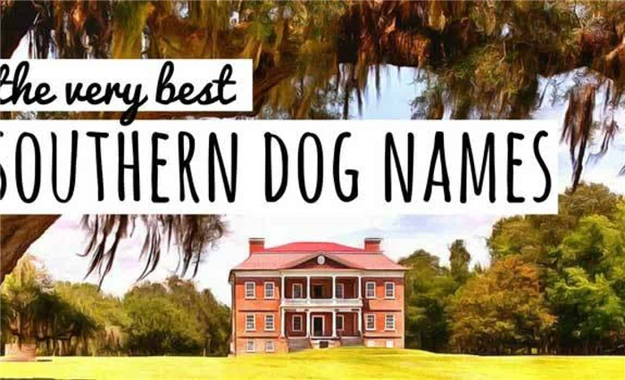 southern-dog-names