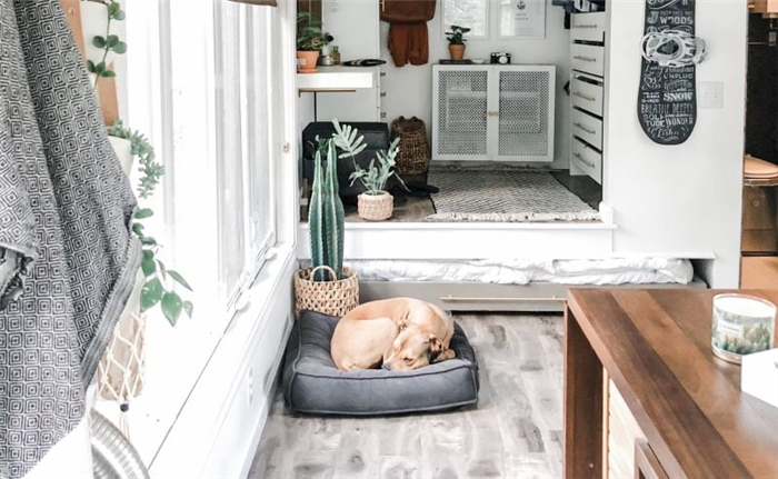 убедитесь, что у вашей собаки есть собственное пространство в крошечном доме