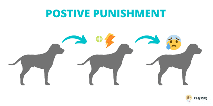 дрессировка собак с положительным наказанием