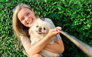 Как сделать вашу собаку знаменитой в Instagram: 21 совет для достижения славы четвероногих!