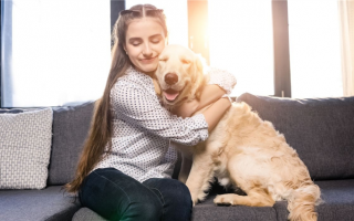 Как завести служебную собаку для лечения тревожности