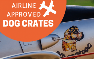 Клетки для собак, одобренные авиакомпаниями: Лучшие ящики для перевозки собак