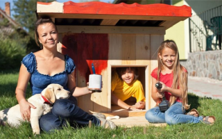 14 DIY домиков для собак (планы + чертежи): как построить домик для собаки!