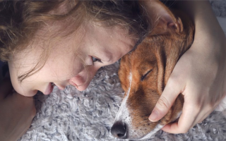 Признаки того, что ваша собака умирает: Как узнать, когда ваша собака готова к уходу