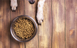 Обзор корма для собак Amazon Wag: В чем суть этого корма?