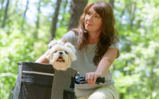 11 лучших велосипедных корзин для собак: Безопасная езда на велосипеде с собаками