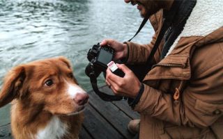 19 эпических поз собак для фотографий: Идеальные позы для собак