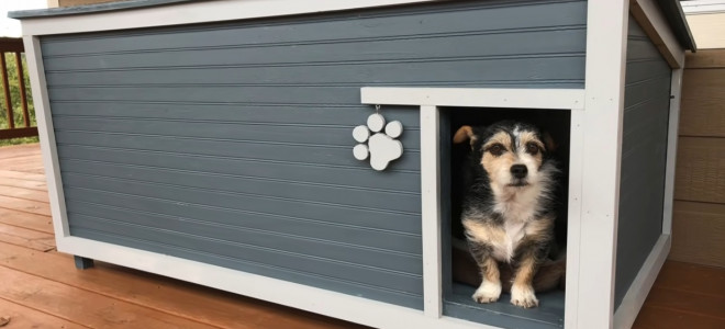 Как сделать дом для собаки теплым зимой?