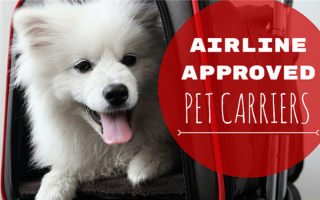 12 лучших переносок для домашних животных, одобренных авиакомпаниями (для собак, путешествующих на самолете)