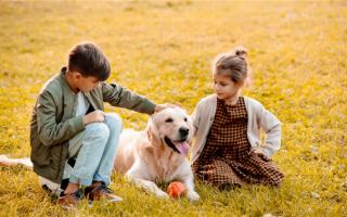 12 лучших пород собак для детей с аутизмом