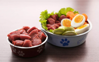Сырой корм для собак Плюсы и минусы: стоит ли кормить собаку сырым кормом?