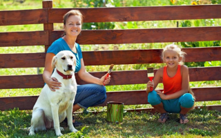DIY Планы ограждений для собак: Индивидуальное ограждение для Фидо!