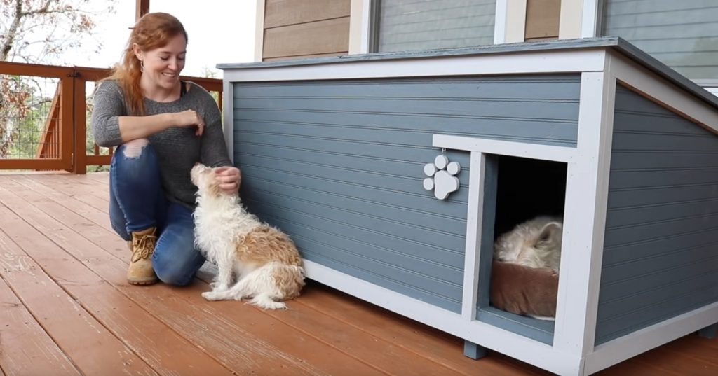 Как сделать дом для собаки